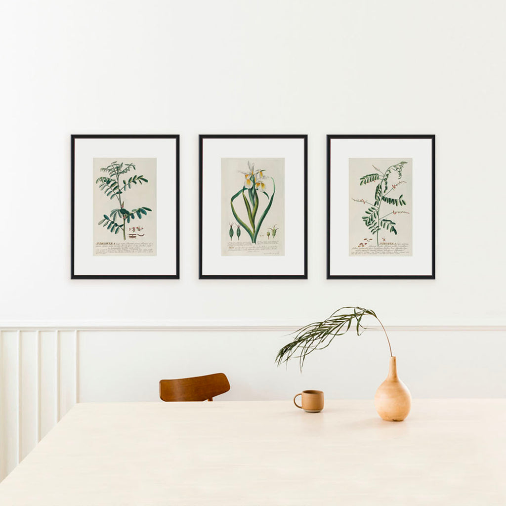Sophisticated modern dining room with set of three oak and robin 16x20 framed wall art featuring vintage botanical illustrations